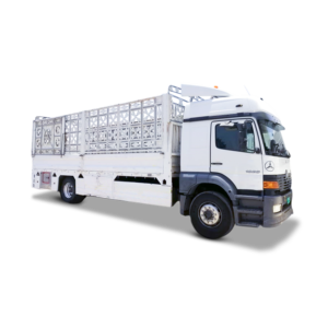 Delivery Charges | 10-Ton with 2 Labourers for Offloading | Abu Dhabi / Al Ain / RAK / Fujairah
