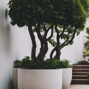 Greenery & Plants | Large elegant pot with tree